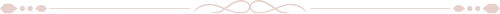 Footer divider