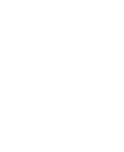 fire Logo
