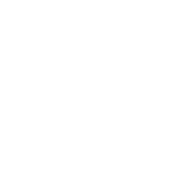 world Logo